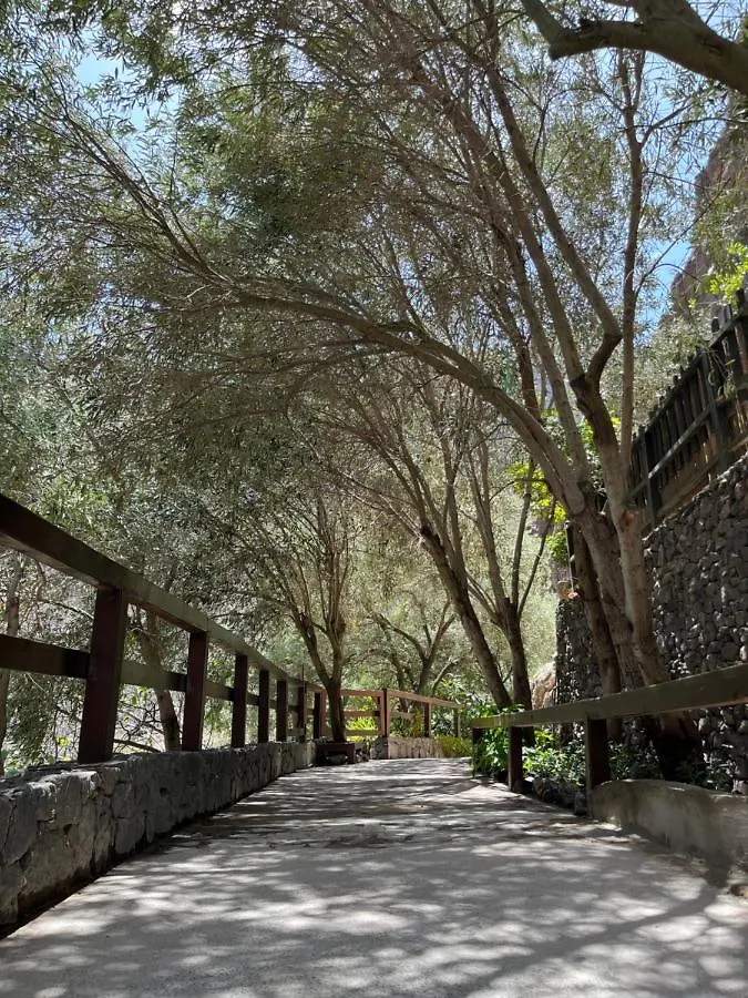 Casa Rural Guayadeque Ca'Juani インヘニオ スペイン