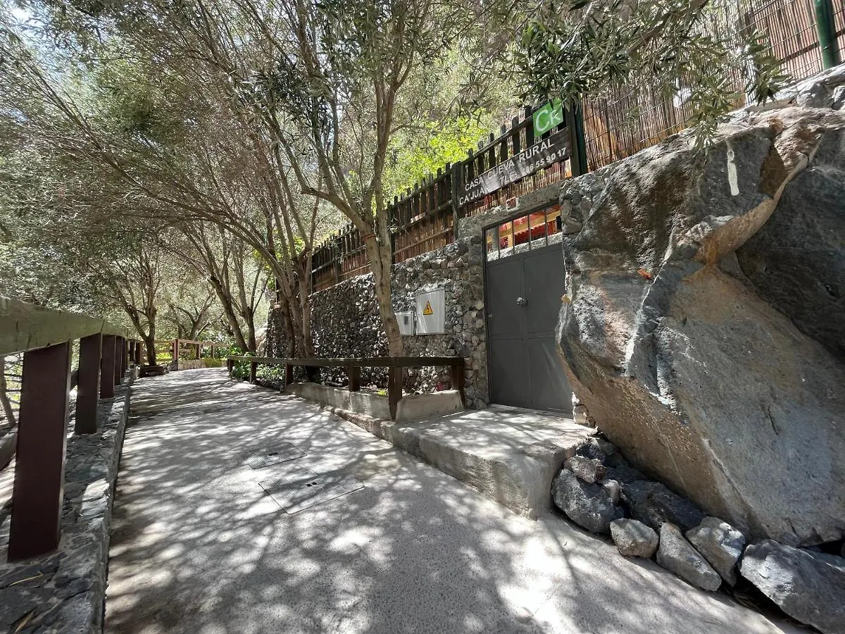 Casa Rural Guayadeque Ca'Juani インヘニオ